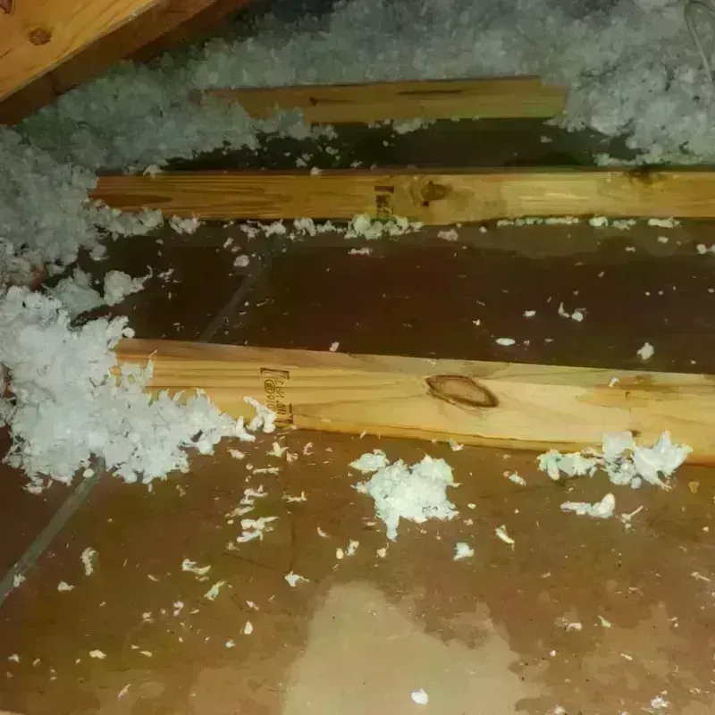 Attic Water Damage in Alice, TX