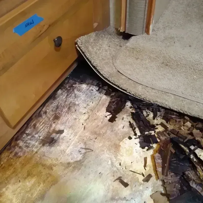 Wood Floor Water Damage in Alice, TX